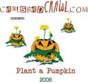 project-plant-a-pumpkin-flyer.jpg