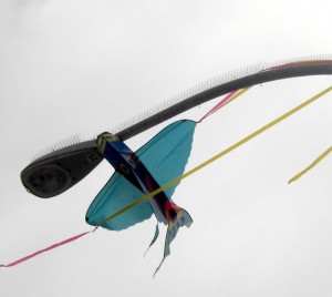 carlsbad kite closer