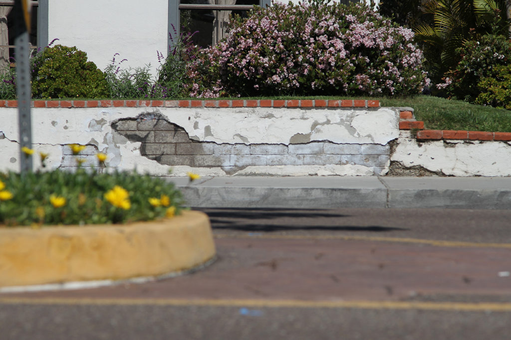 carlsbad street art dog