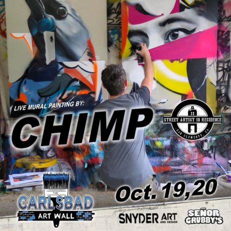 Chimp Carlsbad Art Wall art